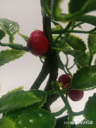 Искусственные растения для декора