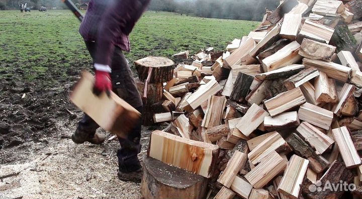 Дрова 30 см