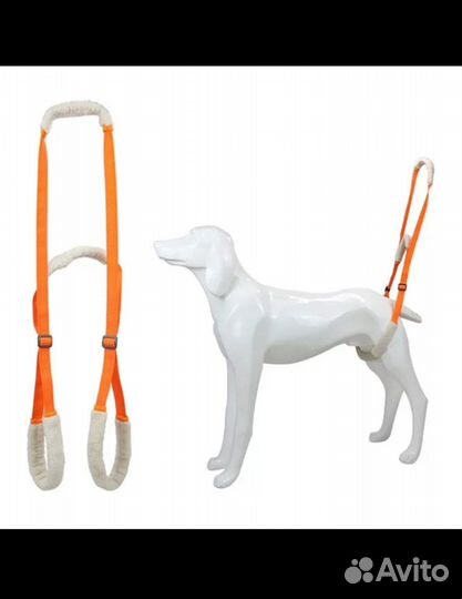 Ходунки - поддержка для собак