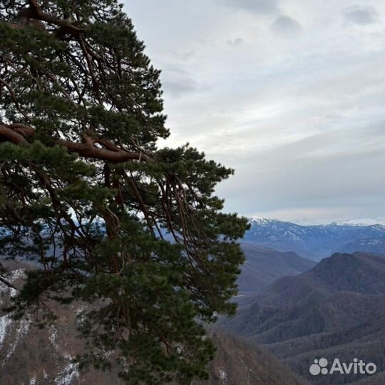 29.12 В горы на перезагрузку. Лагонаки Тур 1 день