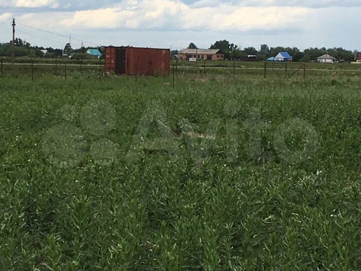 Участок 3,5 га (СНТ, ДНП)