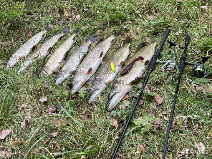 Спиннинг Zetrix Exilon