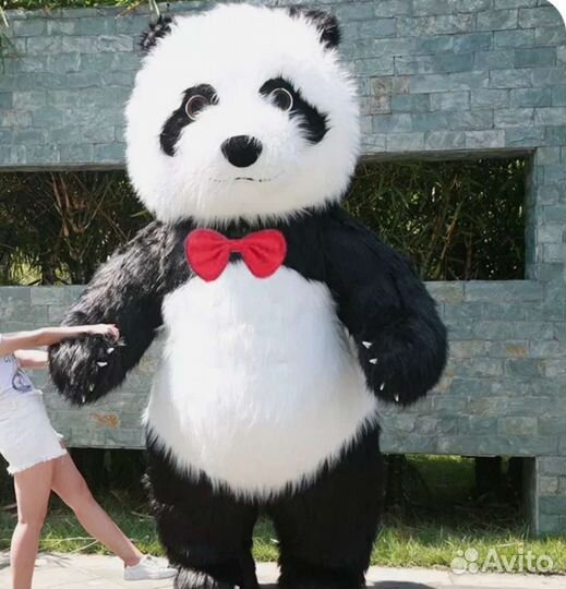 Белый Мишка 2,6 м Медведь поздравление ростовые