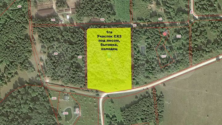 Участок 99 сот. (СНТ, ДНП)