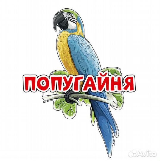 Администратор развлекательного центра