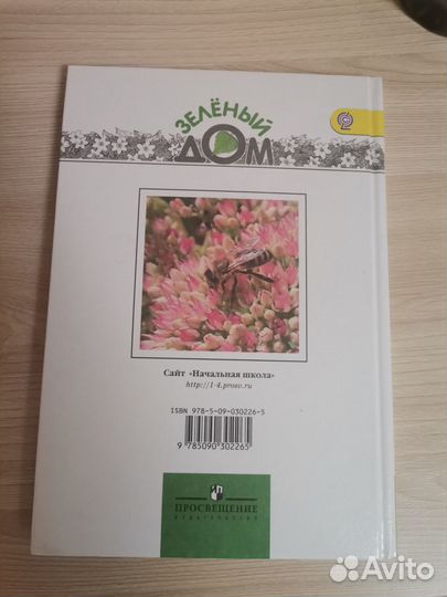 А. А. Плешаков Великан на поляне