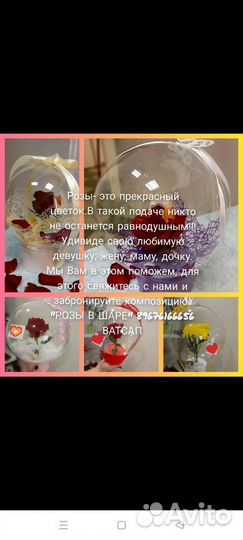 Роза в шаре