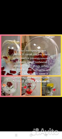 Роза в шаре