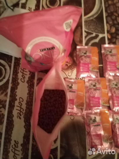 Purina One для котят