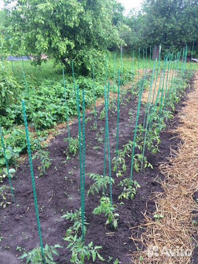 Вечные колышки для садовых растений