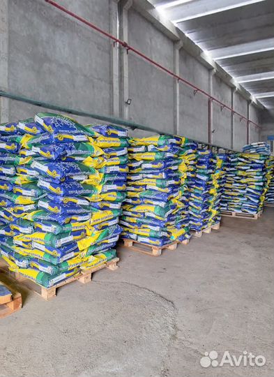 Семена подсолнечника Экспресс, Евролайтинг