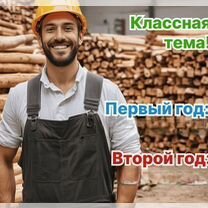 Агентство по деревообработке в городе, Астана
