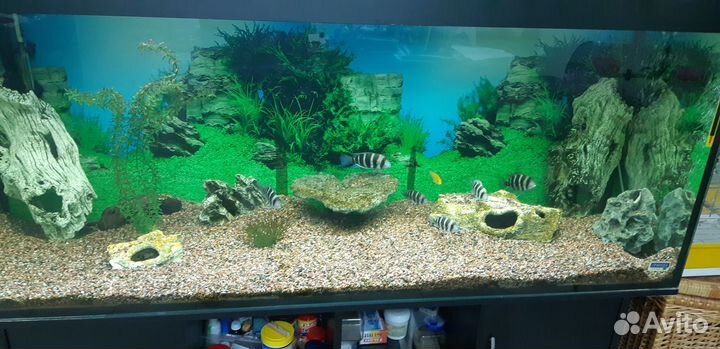 Большой аквариум с тумбой