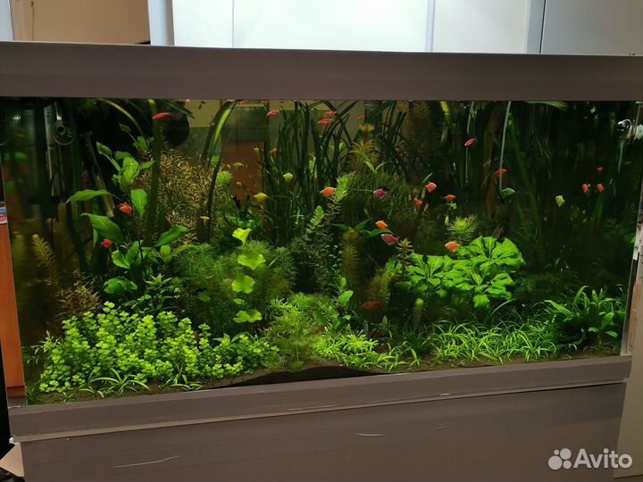 Аквариум с тумбой 750 литров