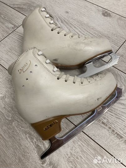 Коньки Edea Chorus