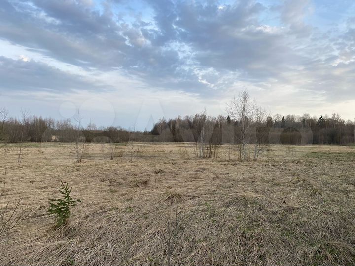 Участок 9,1 га (СНТ, ДНП)