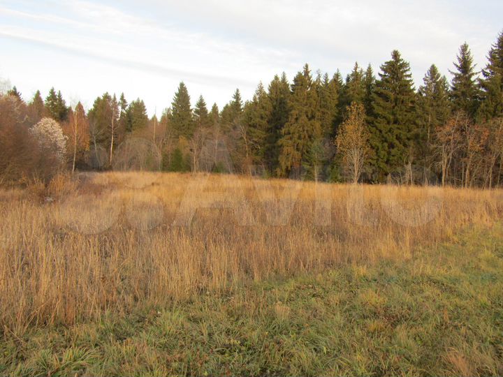 Участок 15 сот. (ИЖС)