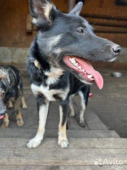 Мальчик подросток