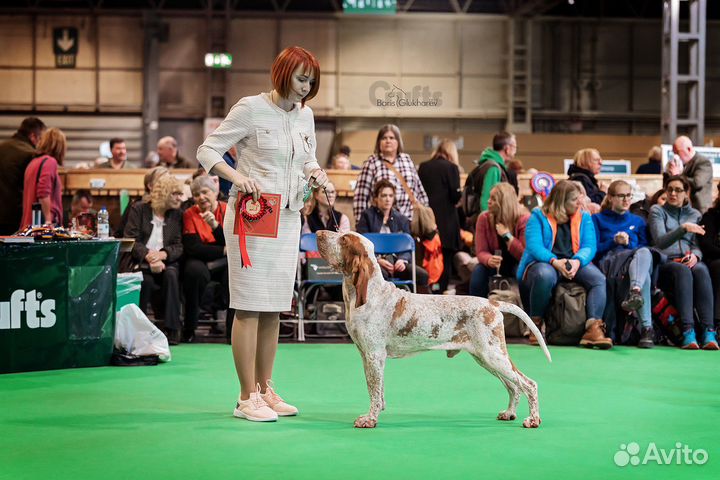 Услуги хендлера