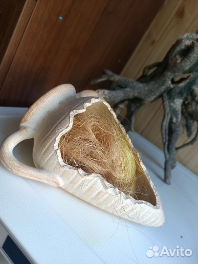 Амфора для аквариума