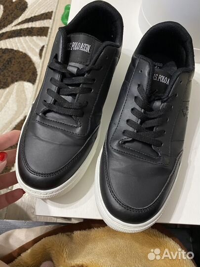 Кеды Бренд U.S. Polo Assn