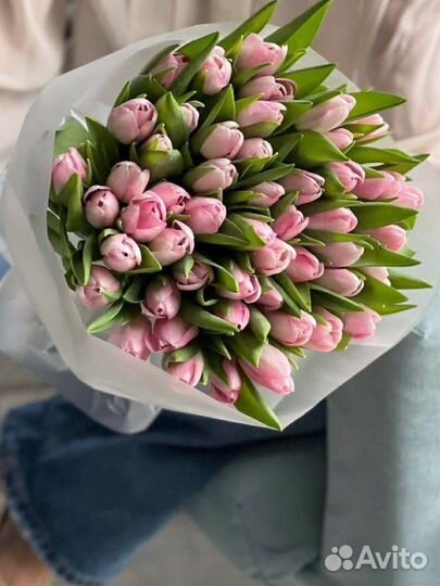 Тюльпаны, 8 марта, розы, букет тюльпанов, белые