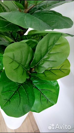 Искусственное дерево растение фикус
