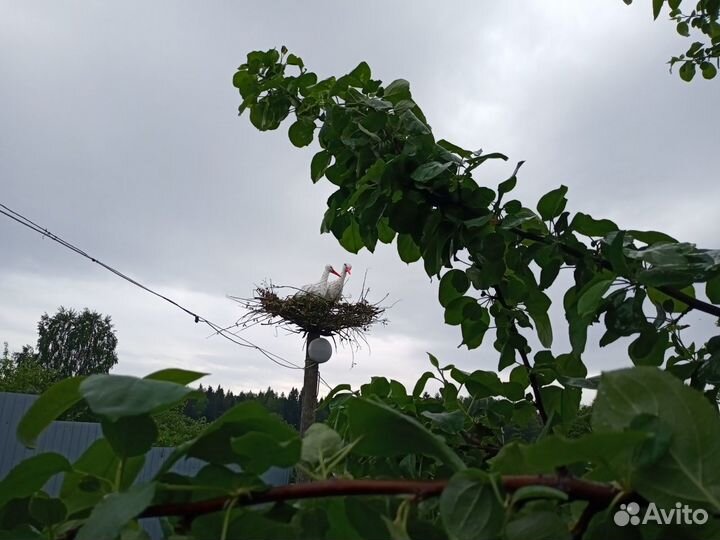 Садовые фигуры (аисты, фламинго, павлин, ослик)