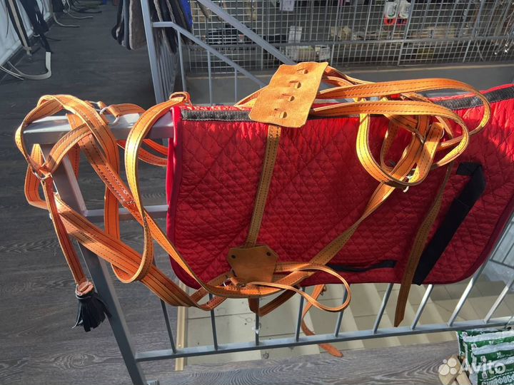 Шлея для лошади