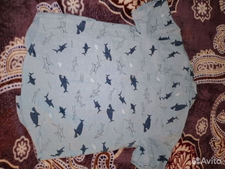 Рубашка + шорты на мальчика