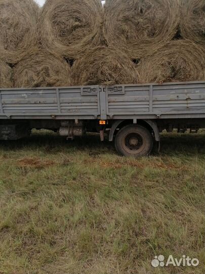 Сено в рулонах
