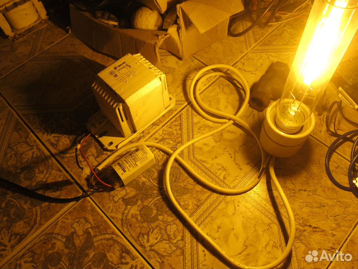 Комплект днат 250