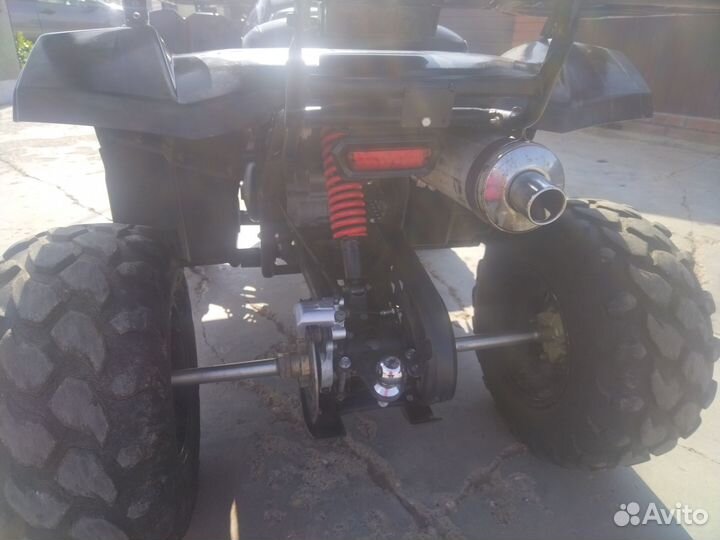 Avantis Hunter 200 new premium