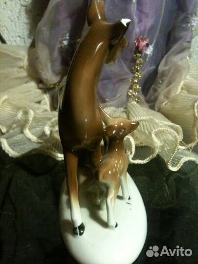 Олениха с оленятами Германия