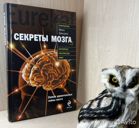 Давыдова Ирина А. Секреты мозга. Серия: Открытия