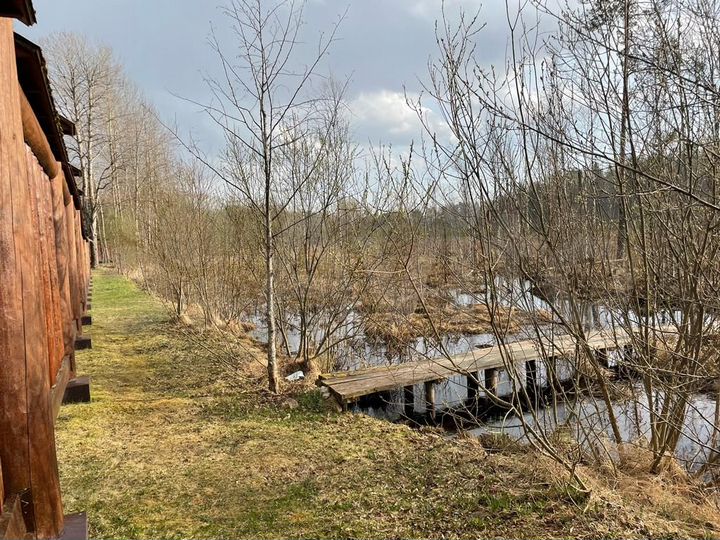 Участок 31,6 сот. (ИЖС)