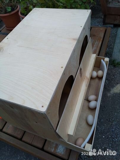 Гнездо для кур с яйцесборником