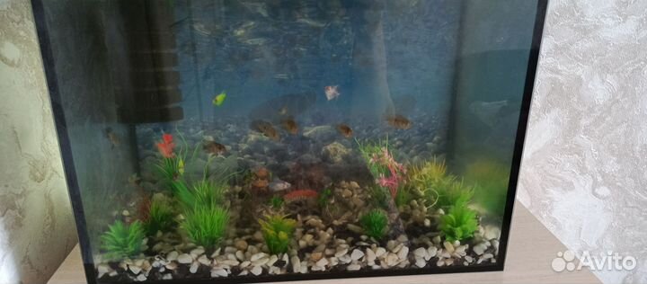 Аквариум
