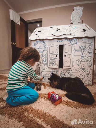 Сибирская кошка
