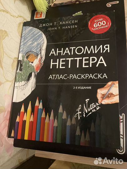 Анатомия Неттера
