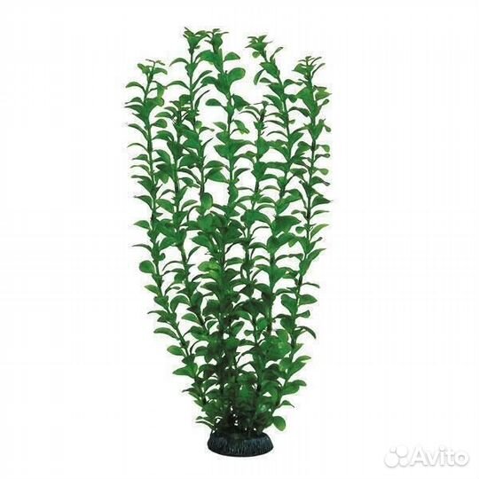 4689P Растение пласт 46см зелёное Людвигия 6