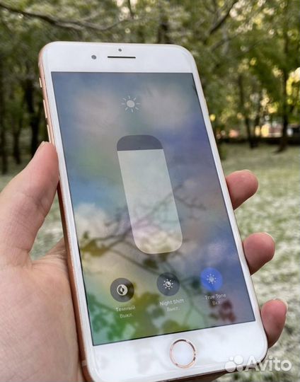 iPhone 8 Plus, 64 ГБ