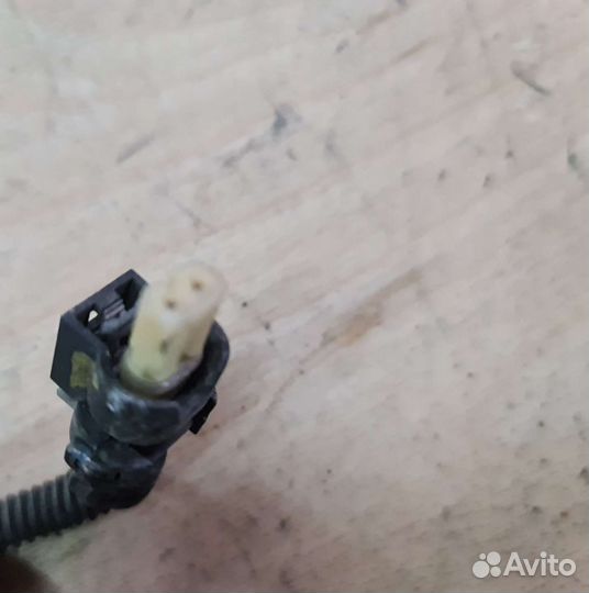 Датчик температуры перед сажевым CLS218