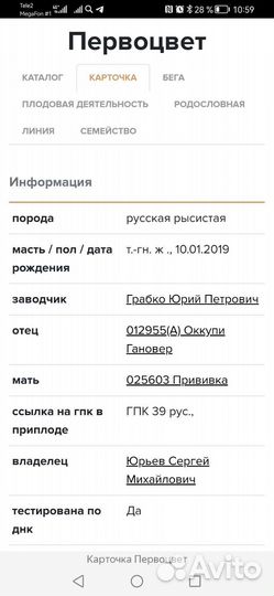 Продам лошадь
