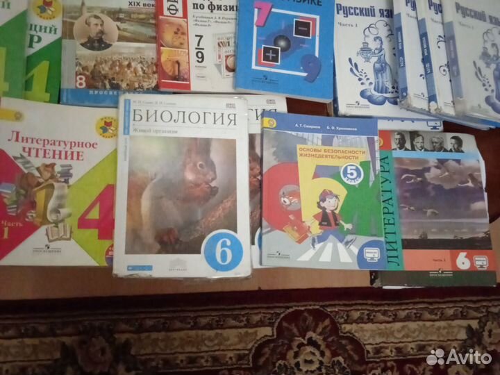 Школьные книги