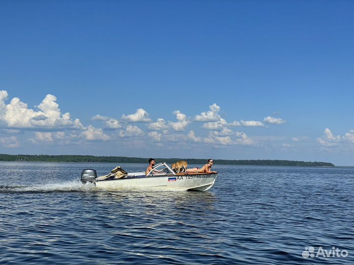 Катер прогресс 2м
