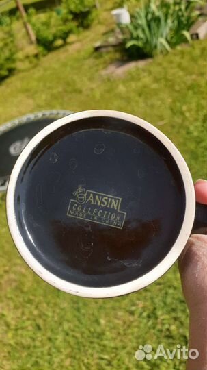 Кружка водолей