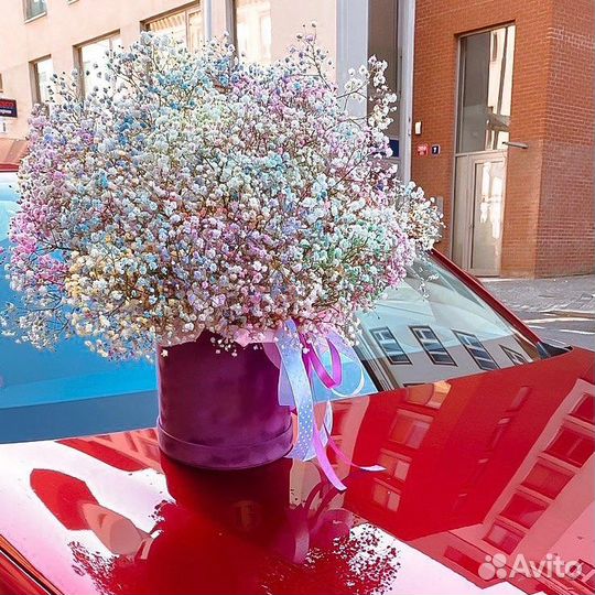 Гипсофила Композиция Свежая. Быстрая Доставка