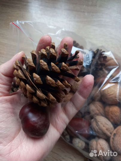 Природный материал для сенсорной коробки