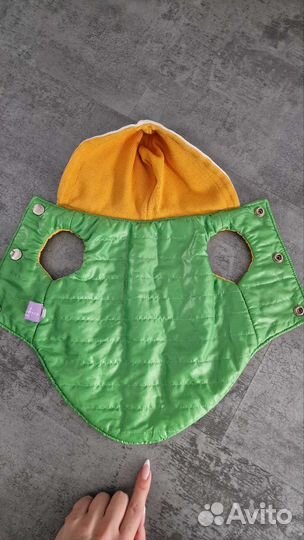 Одежда для животных